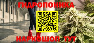 бошки Обнинск
